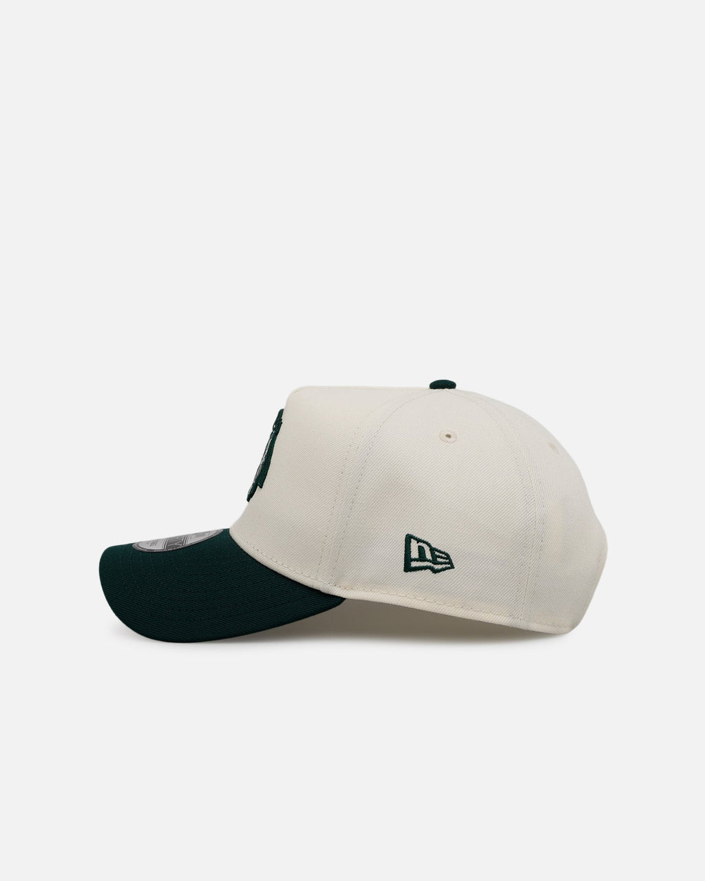 New Era Chicago Blackhawks 'Evergreen 2.0' 9FORTY A-Frame Snapback Chrome/Dark Green