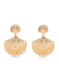 Sun-drenched Shell Earrings